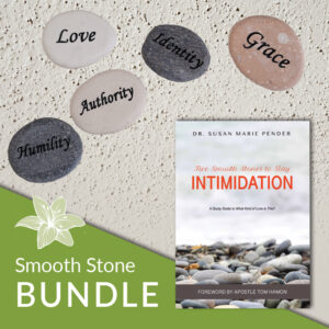 Five Smooth Stones to Slay Intimidation book and stone set.