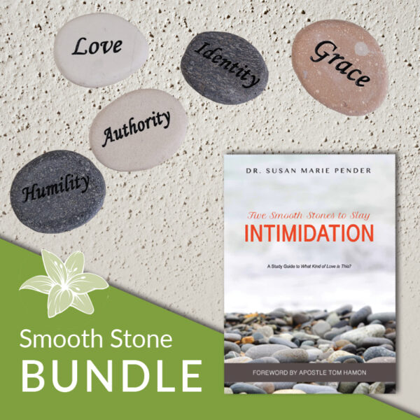 Five Smooth Stones to Slay Intimidation book and stone set.