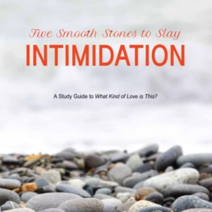 Cover of the book, Five Smooth Stones to Slay Intimidation by Dr. Susan Marie Pender.