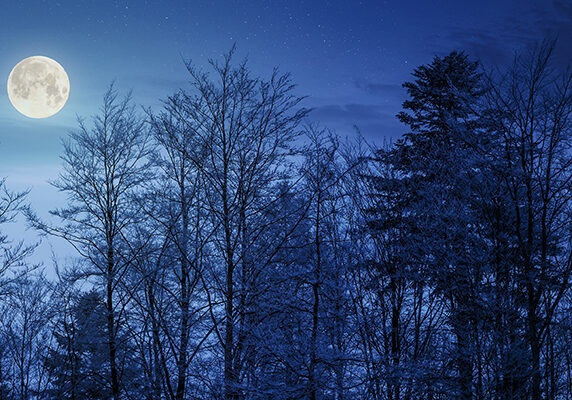 full moon in winter over trees